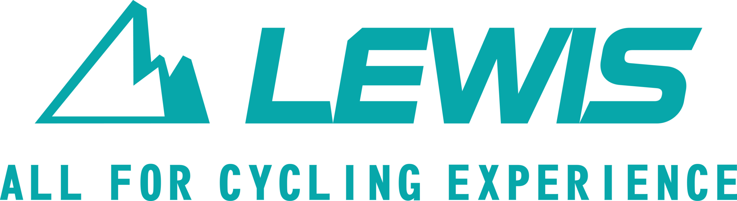 Lewis Bike Shop